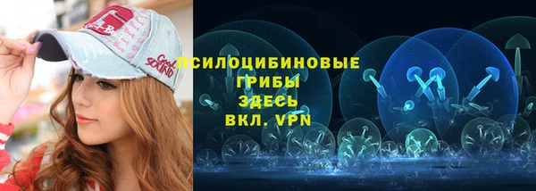 экстази Пересвет