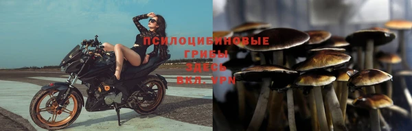 эйфоретик Осинники